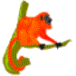 Click To Preview